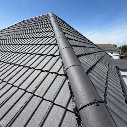 Recent roof project